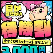 看板イベント☆待機割引☆|ギャルズネットワーク京都店