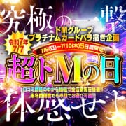 ✨超ドMの日　-1年で最もアツい5日間- ✨|ドMな奥様 大阪本店