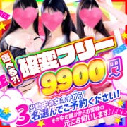 70分9,900円～！毎日選びたい放題！確変フリー！|もえたく