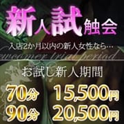 「新人は2ヶ月以内がお得です！新人試触会！！」08/18(金) 10:27 | ガッツリ痴漢倶楽部in渋谷のお得なニュース