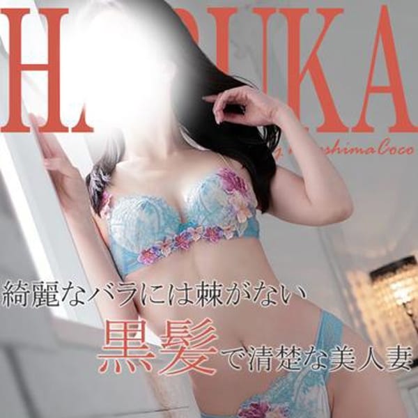 ハルカ【上質を知る大人の時間✨】 | 広島で評判のお店はココです！(広島市内)