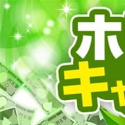 キャッシュバックキャンペーン|やすらぎの森