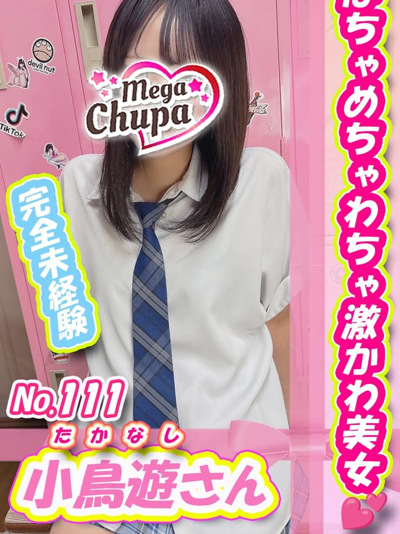 No.111.小鳥遊 たかなし