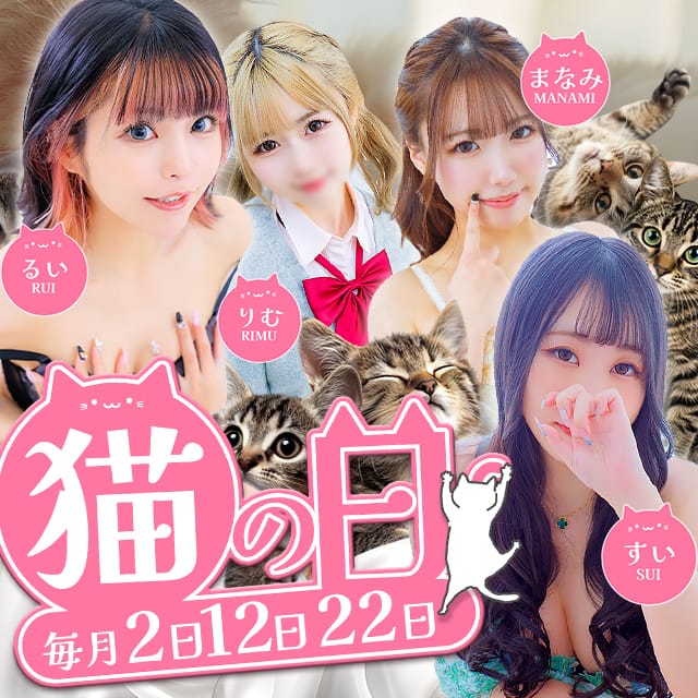 「2がつく日は猫の日12/12」12/08(月) 13:54 | やんちゃな子猫日本橋本店のお得なニュース