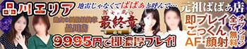 熟女の風俗最終章 品川店