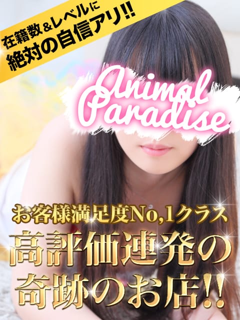 アニマルパラダイス