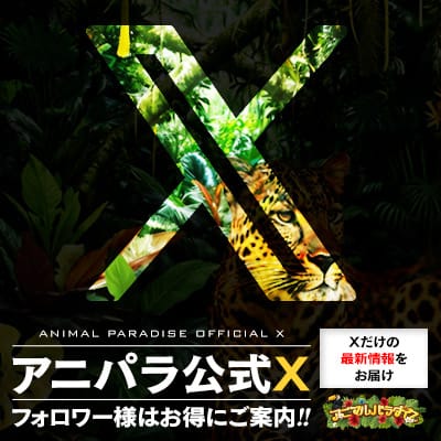 「【アニパラ≪Ｘ≫フォロー&いいねを!!】」03/21(金) 13:24 | アニマルパラダイスのお得なニュース