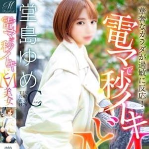 堂島 ゆめ【なし崩し的ドM】