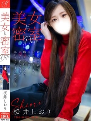 桜井 しおり【美白SSS美人妻】｜奥様会館 ver.2 - 札幌・すすきの風俗