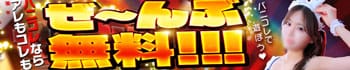 バニーコレクション新潟店