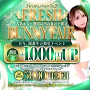 ▶フレッシュバニーフェア◀新人バニー限定♪|バニーコレクション新潟店
