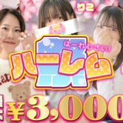 『ハーレム祭』　最大3000円OFF!!|ポッキリ学園 モテモテハーレムごっこ