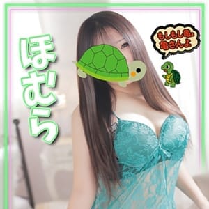 ほむら|もしもし亀よ亀さんよ 名古屋店