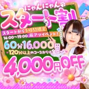 オープンから5時間が勝負！！にゃんにゃんスタート割でお得に♪♪|今こそ!にゃんにゃん学園