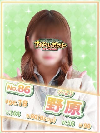 No.86 野原(アイドルポケット)のプロフ写真1枚目