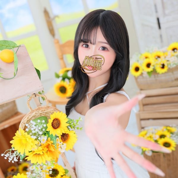るな★|伽羅