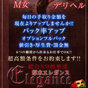 【女王様／M女募集】  はじめての方も、もう一度頑張りたい方も|真性痴女ハードコアコネクション グランブルー厚木