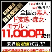 無茶振り全コース5000円引き開催中!!|Realspin