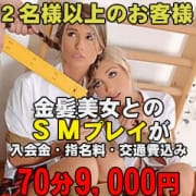 「金髪女王様と金髪肉奴隷との、ＳＭプレイが２名様以上で、７０分９，０００円」05/28(水) 12:46 | 激安！金髪女王様と肉奴隷のお得なニュース