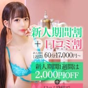 ■STELLA割引一覧|厳選美女専門デリバリー STELLA TOKYO
