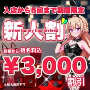 新人割|クラブFG（FG系列）