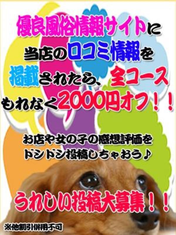 口コミ2000円割引|奈良橿原大和高田ちゃんこでおすすめの女の子