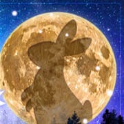 ◆お客様と女の子達に愛されるお店◆|松山デリヘル 月のうさぎ