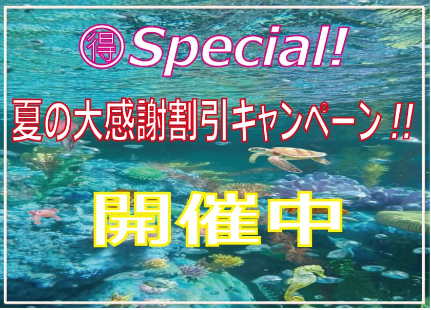 「☆トク得Special! ☀夏の大感謝割引キャンペーン!!☆」 | JJのお得なニュース