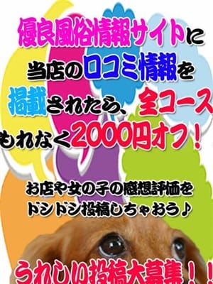 口コミ割引|新潟長岡ちゃんこでおすすめの女の子