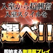 「選べる入室スタイル！出会った瞬間から『超』クライマックス！即プレイ専門店！」07/15(火) 13:09 | 即イキ淫乱倶楽部 小山店のお得なニュース