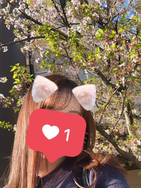 3/1☆新人☆みすず※清楚系美少女※|エルメスでおすすめの女の子