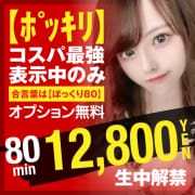 【ポッキリ80】80分12,800円☆表示中のみ利用OK!|ガン騎シャ！！即またがりたい女子大生 三宮店