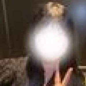 なみ