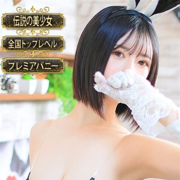 ◆新人限定でこんなにもお得に◆|バニーコレクション別府店