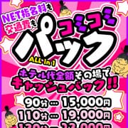 【コミコミパック】90分15,000円ホテル代その場で全額キャッシュバック‼|ぽちゃ・巨乳専門店 太田足利ちゃんこ