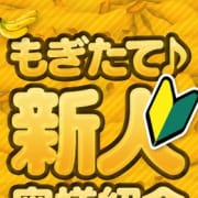 「◇もぎたてばなな新人コース◇お味見価格でご案内！」06/17(水) 20:32 | 完熟ばなな 札幌・すすきの店のお得なニュース