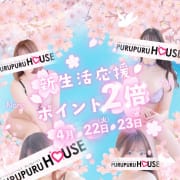 新生活応援！ポイント2倍|プルプルハウス