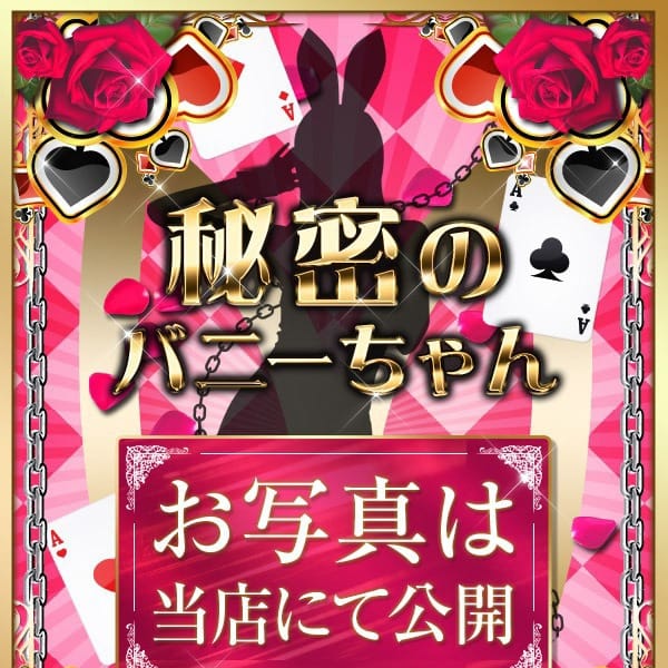 ユウリ【顔出しNG絶対的美少女】 | バニーコレクション千葉栄町店(千葉市内・栄町)