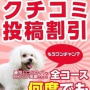 「何度でも2000円オフ！☆★☆口コミ投稿割引2000円オフ☆★☆」08/11(火) 13:40 | 長野飯田ちゃんこのお得なニュース