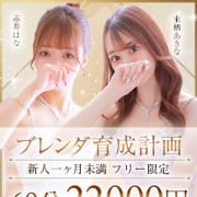 【ブレンダ育成計画】  |BLENDA VIP 東京店