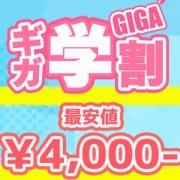 「学生さんに超お得！？！？最安￥4,000-！？」 | にゃんにゃんパラダイスのお得なニュース
