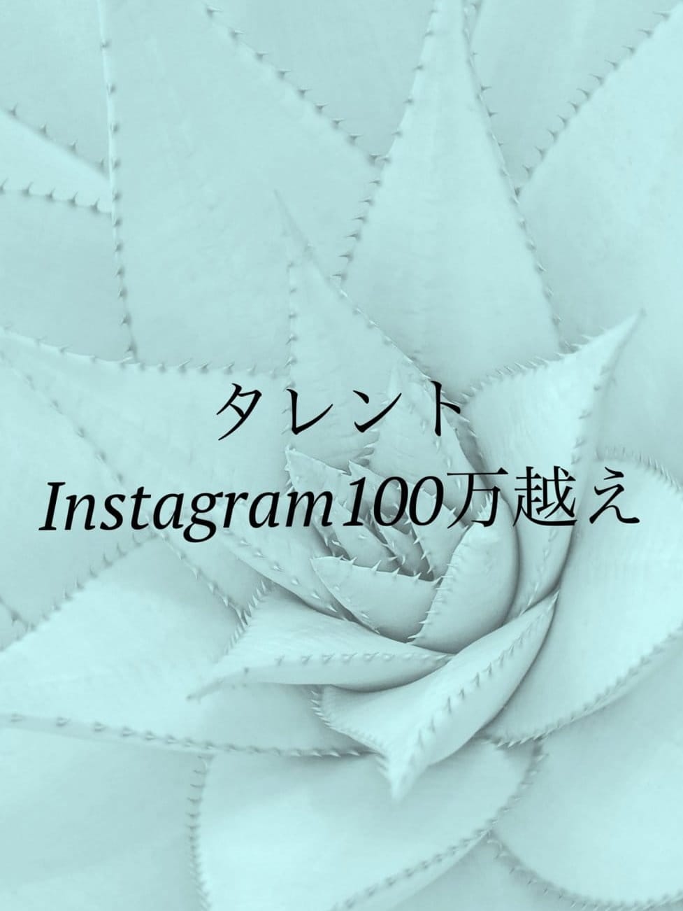 ASKタレント|ウルトラQueenでおすすめの女の子