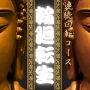 ☆輪廻転生キャンペーン☆|宮城仙南ちゃんこ