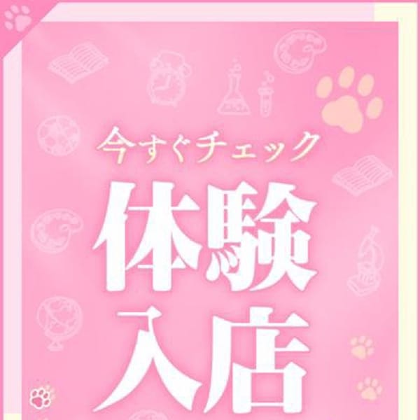 さく【緊急体験入店】 | Minette ～ミネット～ 高崎店(高崎)
