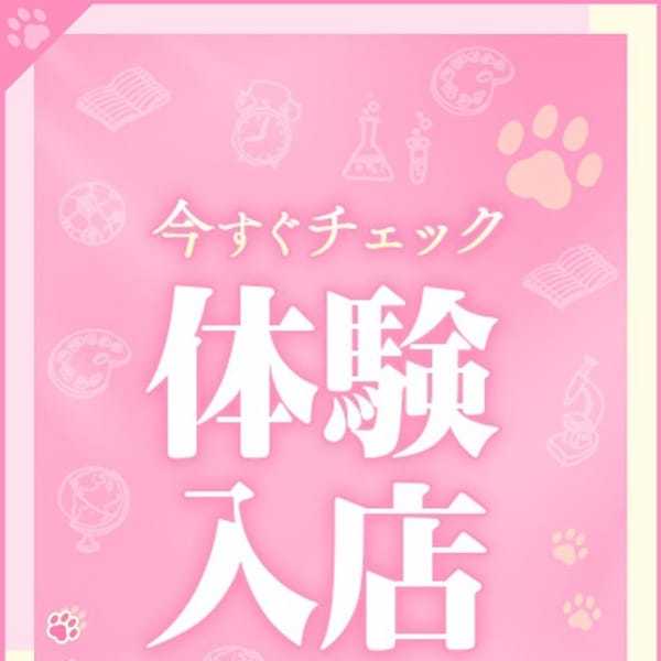 ちさ【体験入店】【妹属性ロリエロ美少女☆】 | Minette ～ミネット～ 高崎店(高崎)