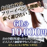 お任せフリー割イベント開催中！|ぽちゃカワ女子専門店 宇都宮