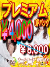 PREMIUMオプションパック|アロマ マッサージ LOVE&アロマでおすすめの女の子