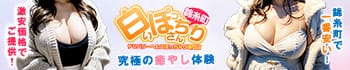 白いぽっちゃりさん 錦糸町店