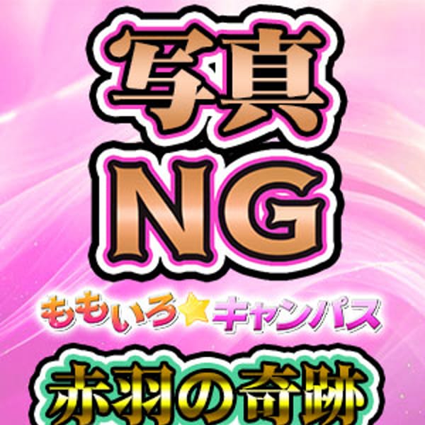 No7 椎名