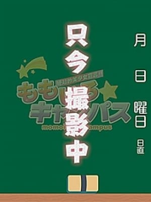 No93 綿菓子